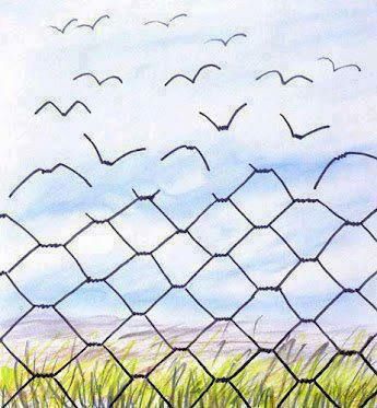 fencesbirds